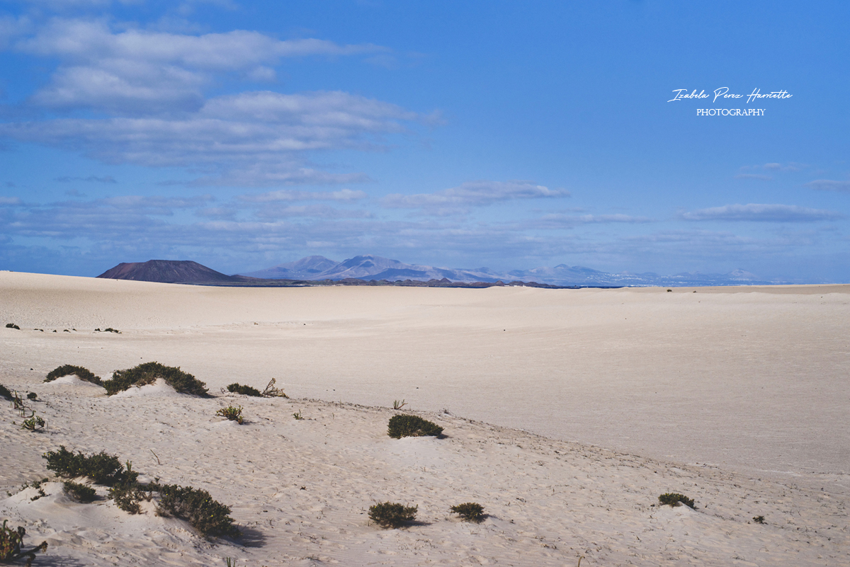  Fuerteventura all inclusive, corralejo dunes