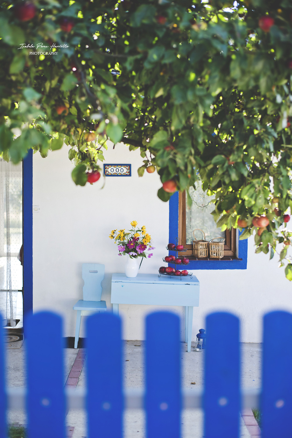 Greece in Poland, blue decor, apple tree , summer vibes 
